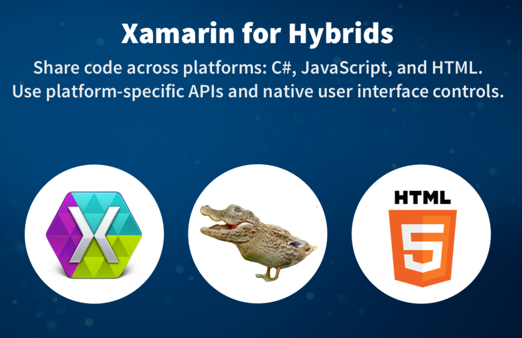 Hybrid App Talk Slide